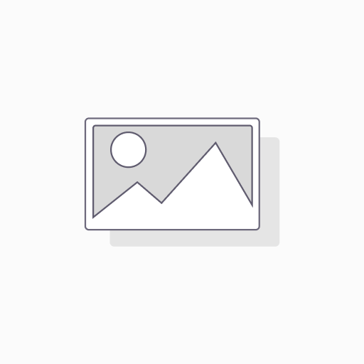 Smontagomme Capture.4FI Premium